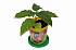 Набор для выращивания растений - Пассифлора съедобная  - миниатюра №4